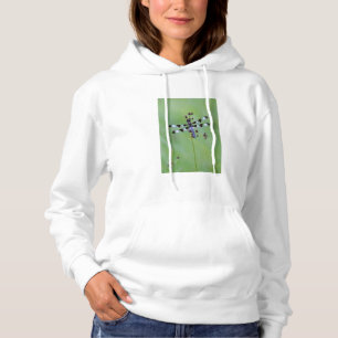 Dragon fly perched on grass, Canada Hoodie