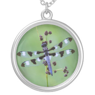 Dragon fly perched on grass, Canada Silver Plated Necklace