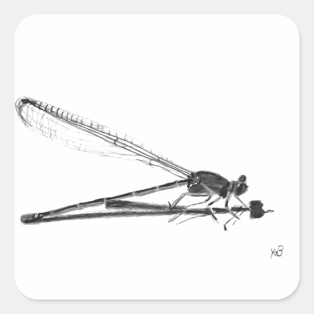 Dragon Fly Square Sticker (Front)