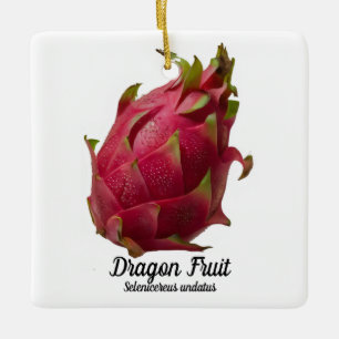 Dragon Fruit Ceramic Ornament