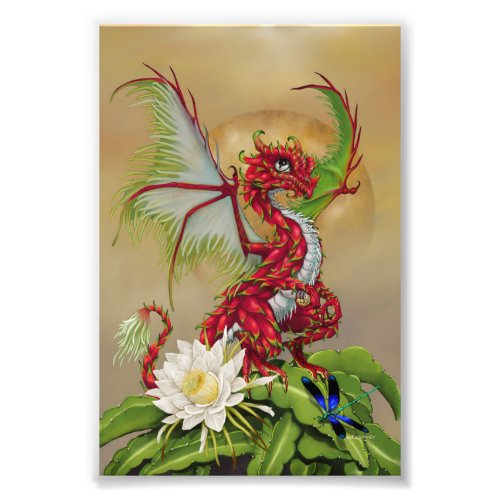 Dragon Fruit Dragon 4x6 Print