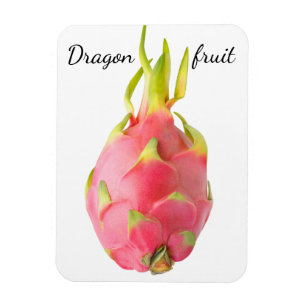 Dragon fruit magnet