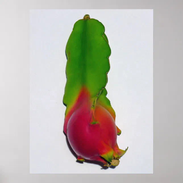 Dragon fruit poster | Zazzle
