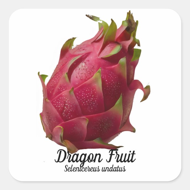 Dragon Fruit Square Sticker (Front)
