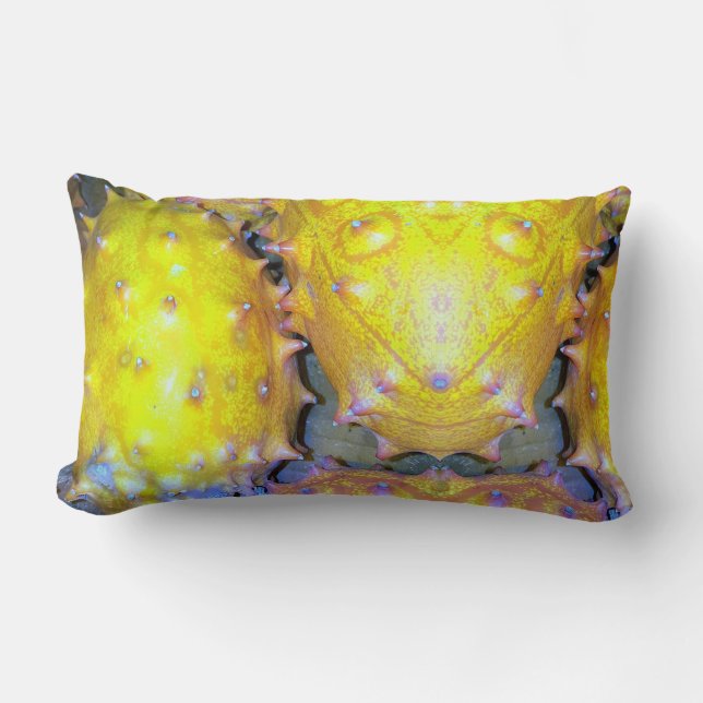 Dragon Fruit Throw Pillow (Front)