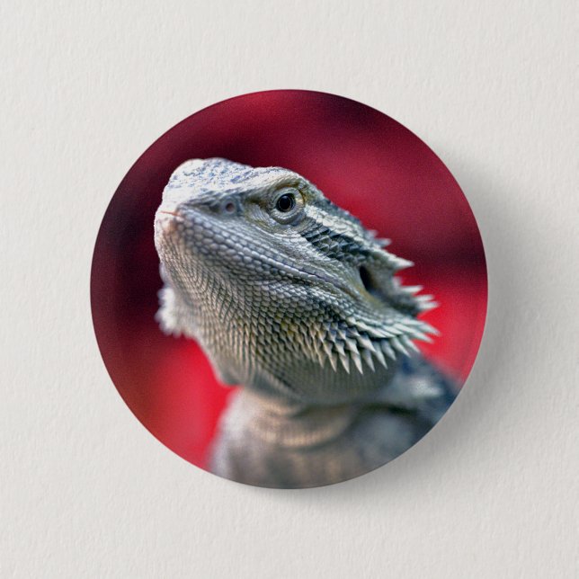 Dragon Head Button (Front)