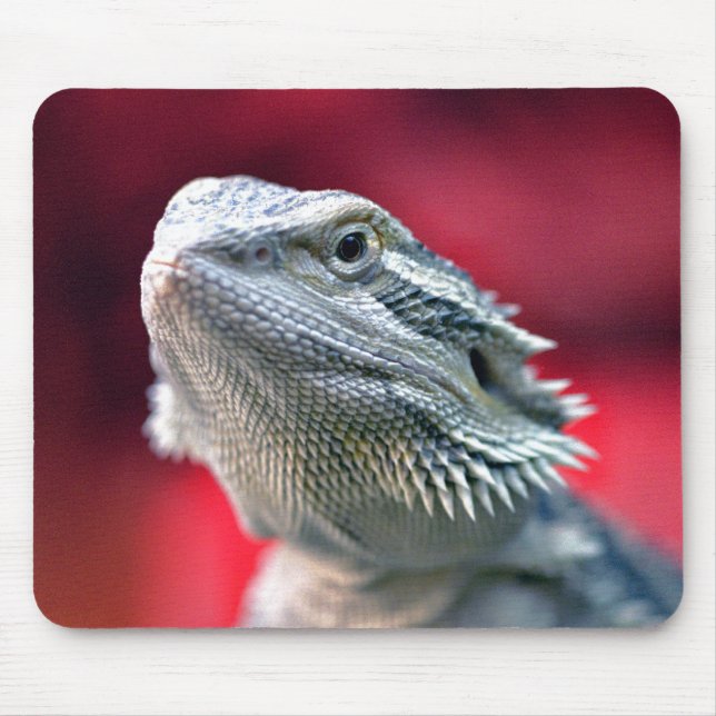 Dragon Head Mousepad (Front)