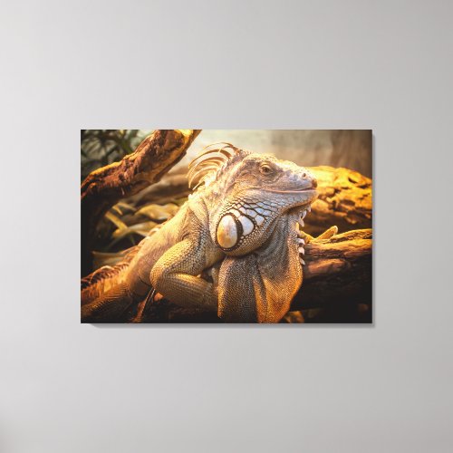 Dragon Iguana name Fred Wrapped canvas