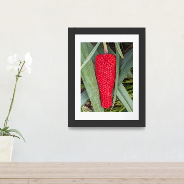 Dragon Lily Red Seed Head Botanical Framed Art (Entryway)