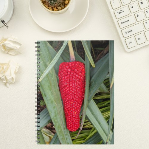 Dragon Lily Red Seed Head Notebook