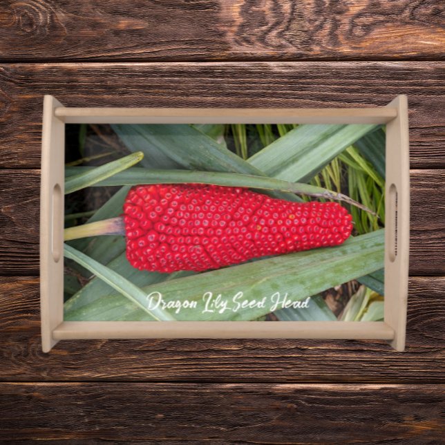 Dragon Lily Red Seed Head Serving Tray (In Situ)