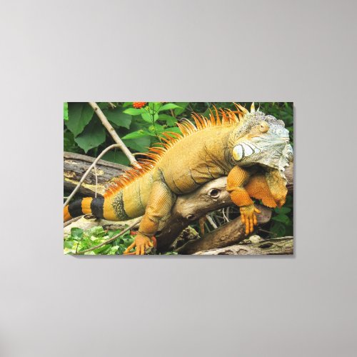 Dragon lizard canvas print