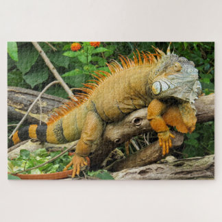 Dragon lizard sleeping along a long tree branch jigsaw puzzle