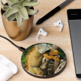 Dragon lizard wireless charger