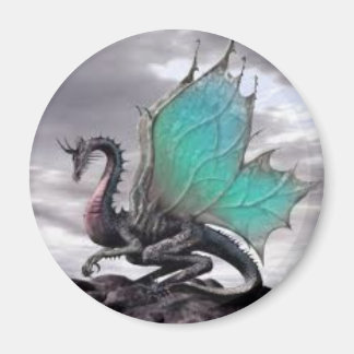 " Dragon Magnet ! "