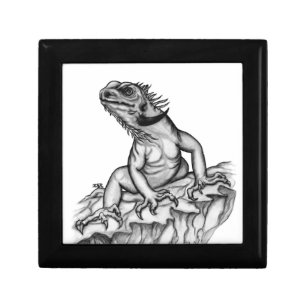 Dragon on the Rock Keepsake Box