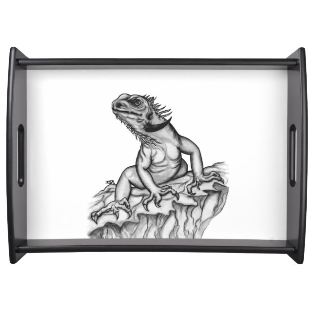 Dragon on the Rock Serving Tray (Front)