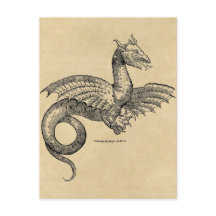 Dragon Parchment postcard