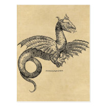 Dragon Parchment postcard