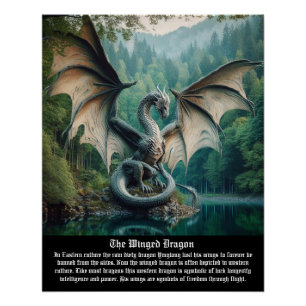Dragon Poster