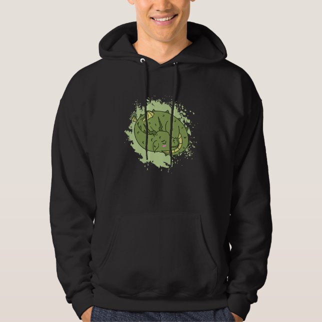 Dragon sleeping cute Fantasy Animal Hoodie (Front)