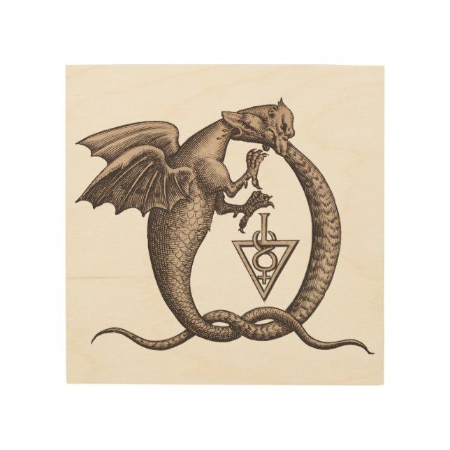 Dragon Snake Sulphur Mercury Symbols Wood Wall Art (Front)