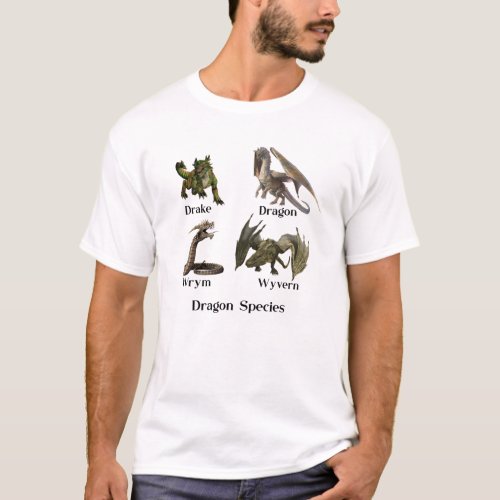Dragon Species Types Wyvern Drake Wrym T_Shirt