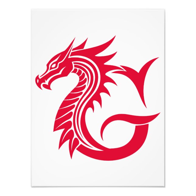 Dragon Styled Letter G, Dragon Alphabet, Monogram Photo Print (Front)