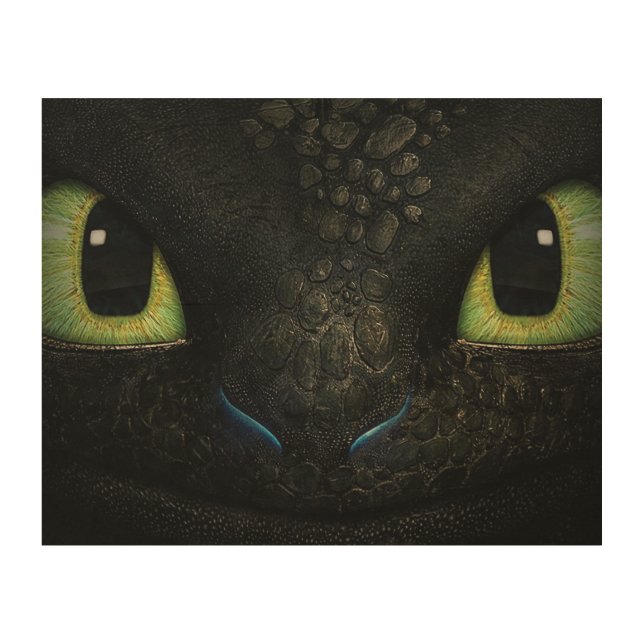 Dragon toothless 10"x8" Wood Photo Print (Front)