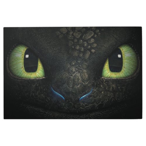 Dragon toothless 36x 24 Metal Wall Art