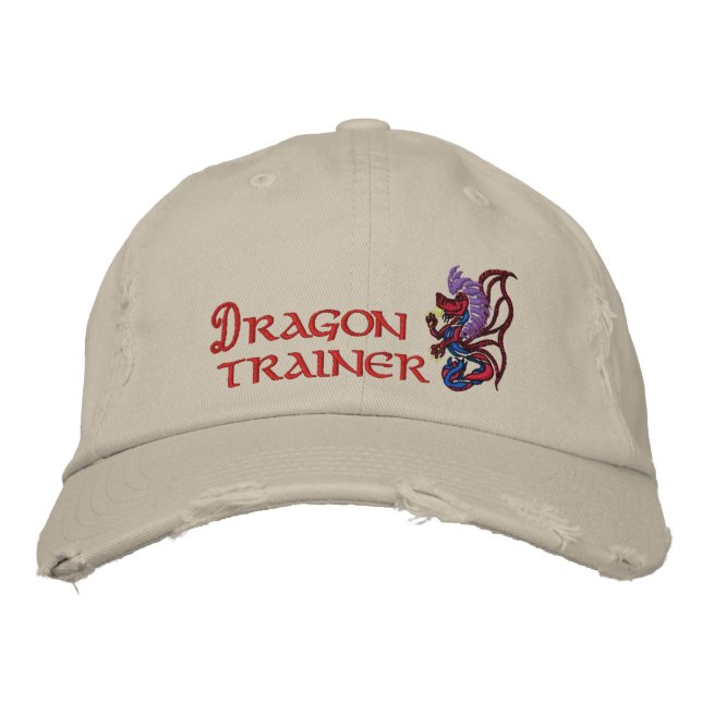 Dragon trainer embroidered baseball hat (Front)