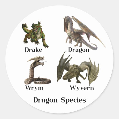Dragon Types Species Wrym Wyvern Drake Classic Round Sticker