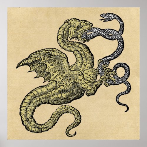 Dragon vs Snake Poster