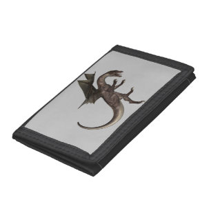 Dragon Wallet
