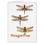 Dragonflies (Front)