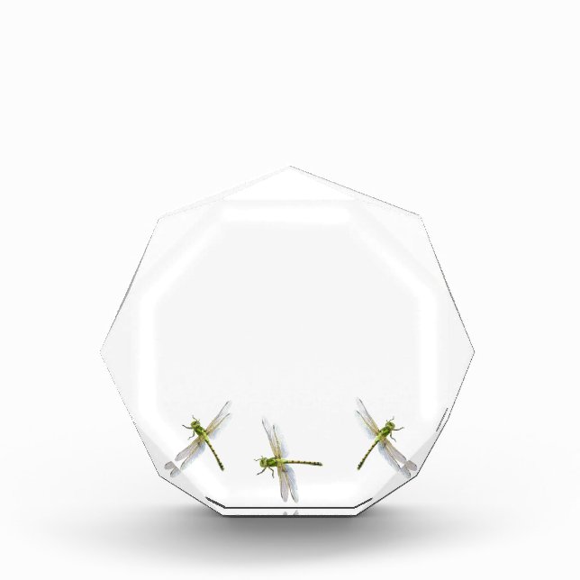 Dragonflies  acrylic award (Front)