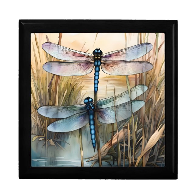 Dragonflies Among the Cattails and Reeds Gift Box (Front)