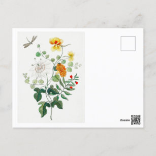 Dragonflies and Beautiful and Colorful Flowers.  Postcard
