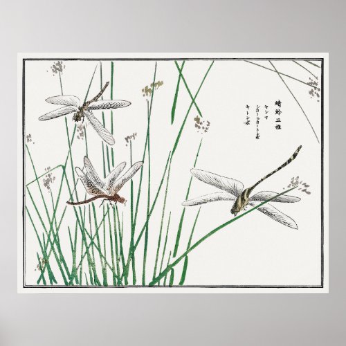 Dragonflies and Reed Grass by Morimoto Toko Poster