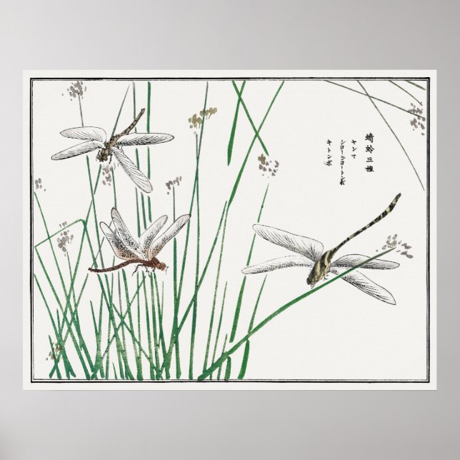 Dragonflies and Reed Grass by Morimoto Toko, Poster (Front)