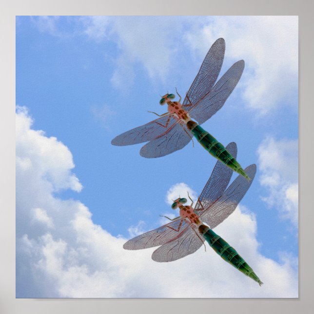 Dragonflies Blue Sky And White Clouds Poster (Front)