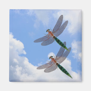 Dragonflies Blue Sky Clouds Nature Magnet