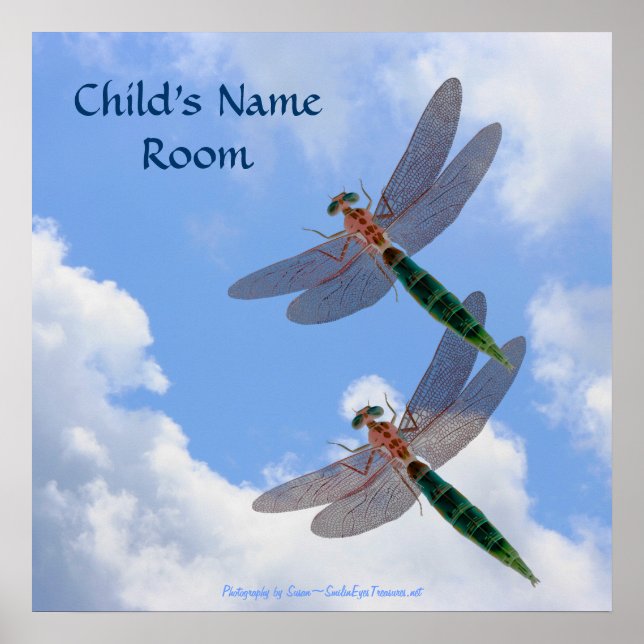 Dragonflies Blue Sky Nature Kids Room Wall Poster (Front)