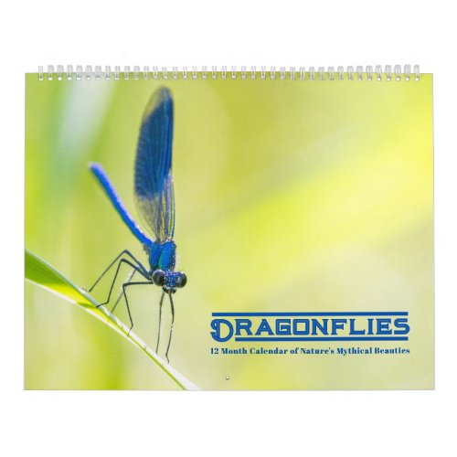 Dragonflies Calendar