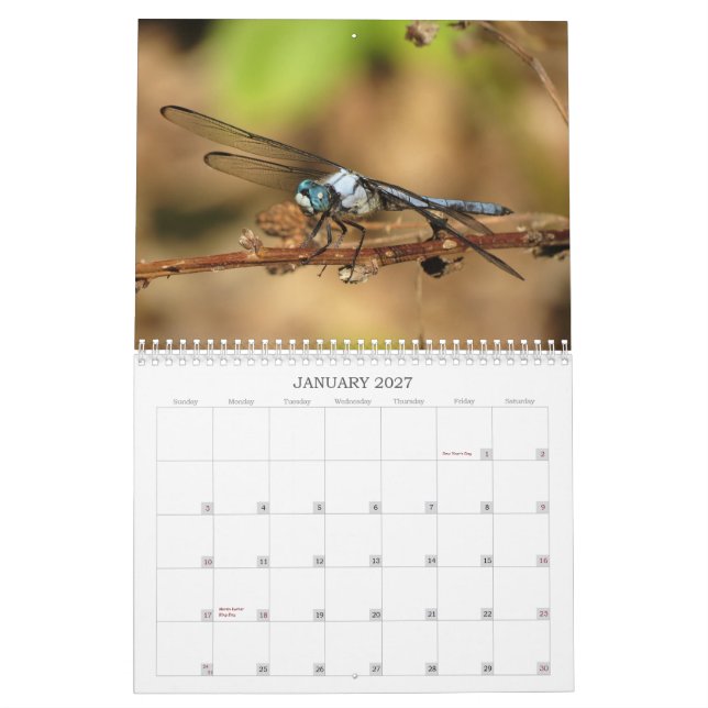 Dragonflies - Gems of the Air 2013 Calendar (Jan 2027)