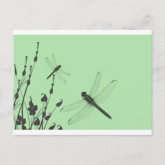 Dragonflies in the Grass Postcard