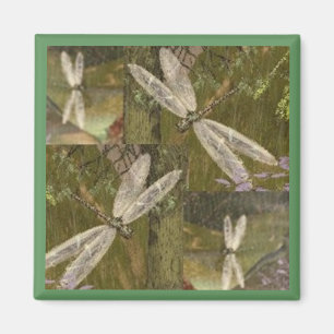 Dragonflies Magnet