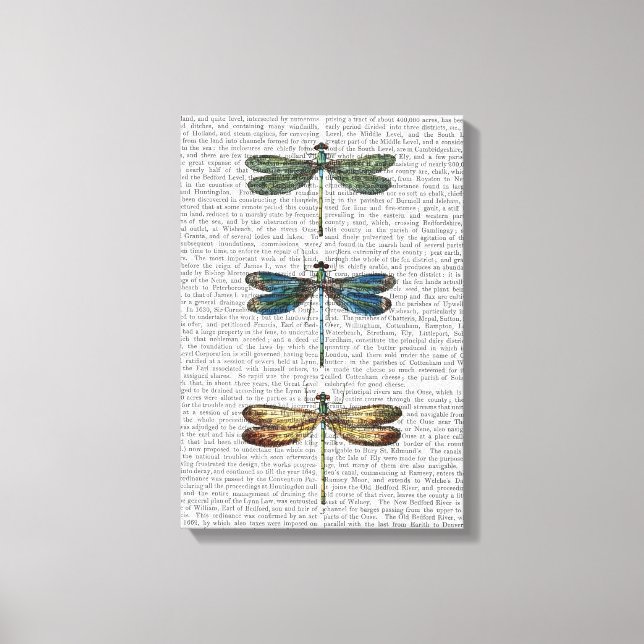 Dragonflies Print (Front)