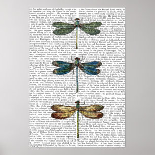 Dragonflies Print