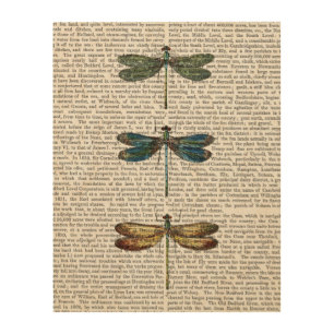 Dragonflies Print